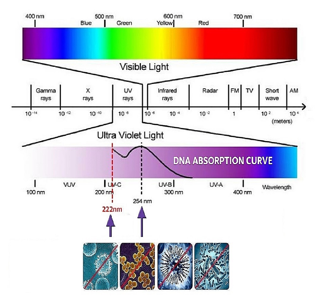 Luxglo DNA Light
