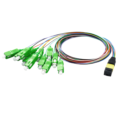 MPO/MTP Breakout Patch Cord