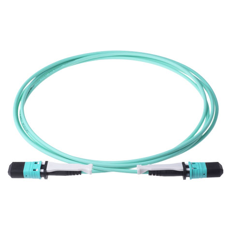 MPO/MTP Patch Cord
